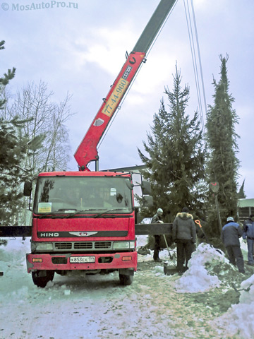 Перевозка крупных деревьев весом более 6 тонн и высотой 8 метров манипулятором в Николо-Урюпино.